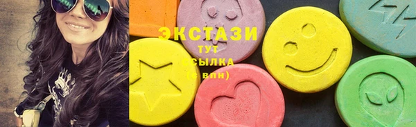 гашик Алексин