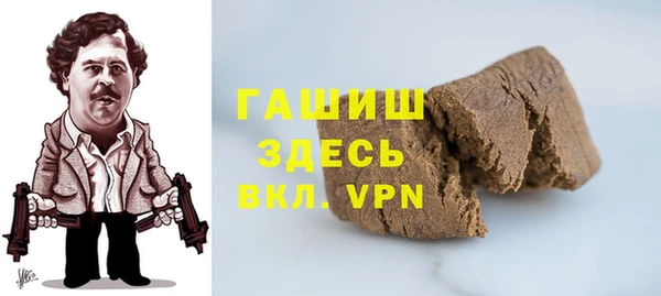 гашик Алексин