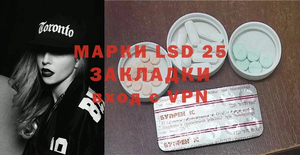гашик Алексин