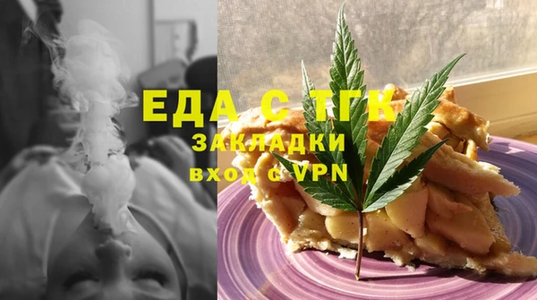 гашик Алексин