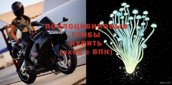 гашик Алексин