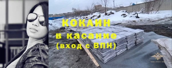 гашик Алексин
