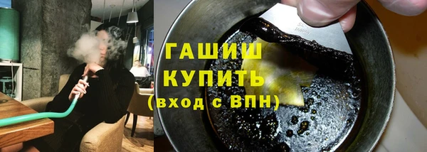 гашик Алексин