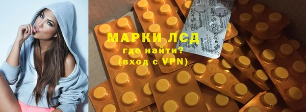 гашик Алексин