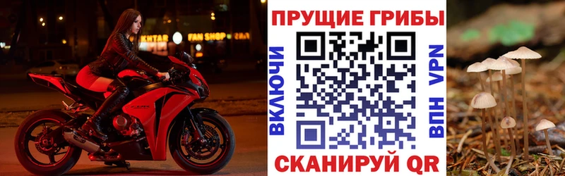 купить наркотик  Новоульяновск  Псилоцибиновые грибы мухоморы 